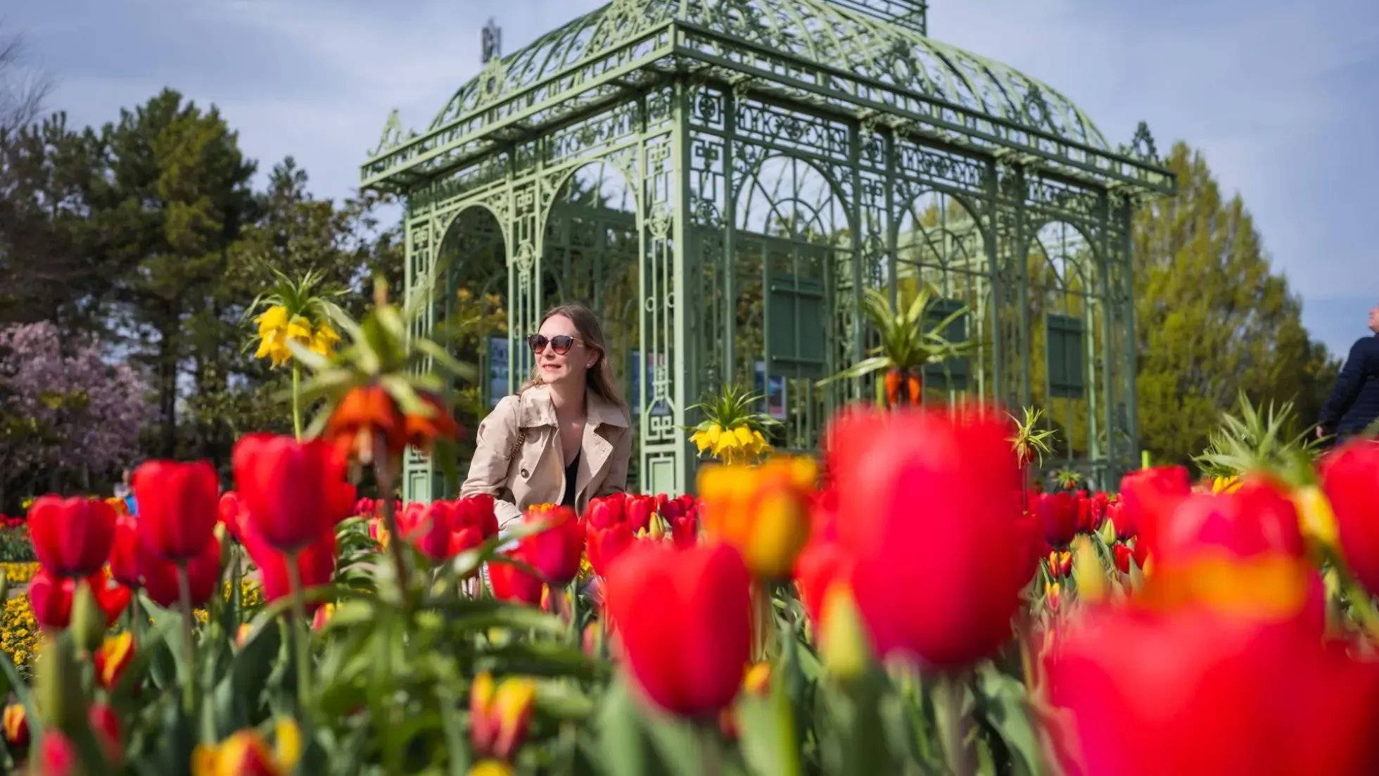 (c) Blumengärten Hirschstetten, Stadt Wien 